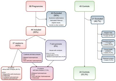Biomarkers for Early Detection of Renal Injury in Fetuses With Congenital Urinary Tract Obstruction